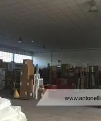 Ciampino -  Capannone C1/C2/C3 € 7.000 CA906