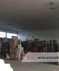 Ciampino -  Capannone C1/C2/C3 € 7.000 CA906