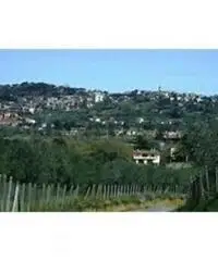 Colle Cavaliere-pietrara: Vendita Capannone in Via Nettunense