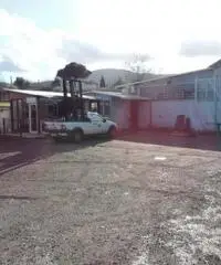 Colle Di Fuori: Vendita Capannone in Via San Cesareo Colle Di Fuori: Vendita Capannone in Via San Cesareo