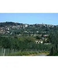 Colle Cavaliere-pietrara: Vendita Capannone in Via Laviniense