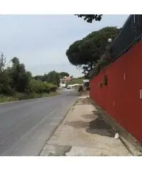 Frattocchie: Affitto Laboratorio in Via Nettunense Nuova