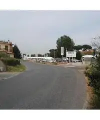 Frattocchie: Affitto Laboratorio in Via Nettunense Nuova