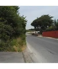 Frattocchie: Affitto Laboratorio in Via Nettunense Nuova