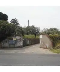 Frattocchie: Affitto Laboratorio in Via Nettunense Nuova