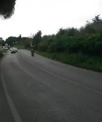 Frattocchie: Affitto Laboratorio in Via Nettunense Nuova