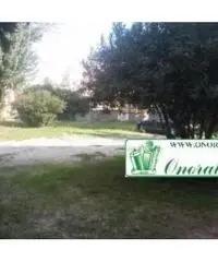 Guidonia: Vendita Capannone in Via Nazionale Tiburtina Guidonia: Vendita Capannone in Via Nazionale Tiburtina