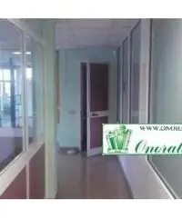 Guidonia: Vendita Capannone in Via Nazionale Tiburtina Guidonia: Vendita Capannone in Via Nazionale Tiburtina