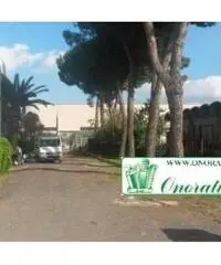 Guidonia: Vendita Capannone in Via Nazionale Tiburtina Guidonia: Vendita Capannone in Via Nazionale Tiburtina