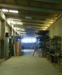 Isola Sacra: Affitto Capannone in FOCE MICINA