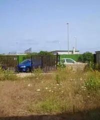 Isola Sacra: Affitto Capannone in FOCE MICINA