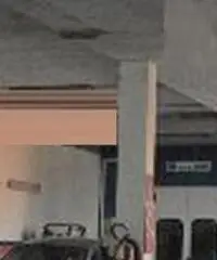Lavinio-Lido di Enea: Vendita Laboratorio in Via Giove