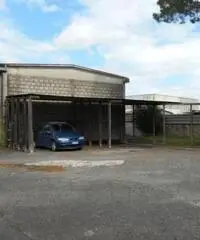 Monterotondo Scalo: Vendita Capannone in via I. Galvani Monterotondo Scalo: Vendita Capannone in via I. Galvani