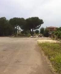 Pavona: Affitto Capannone da 1200mq