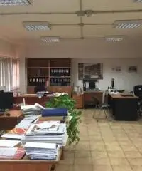 Pavona: Vendita Capannone in Via dei Tulipani Pavona: Vendita Capannone in Via dei Tulipani