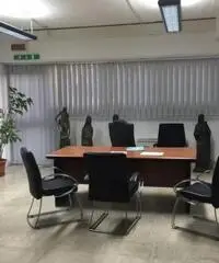 Pavona: Vendita Capannone in Via dei Tulipani Pavona: Vendita Capannone in Via dei Tulipani