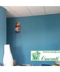 Santa Lucia: Vendita Capannone in Strada Provinciale 29b