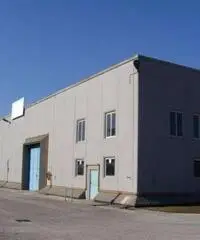 Santa Procula: Affitto Capannone in via pontina vecchia