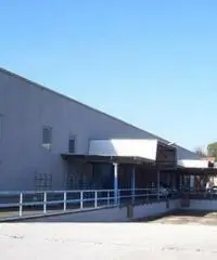 Santa Procula: Affitto Capannone in via pontina vecchia