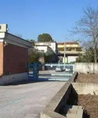 Santa Procula: Affitto Capannone in via pontina vecchia