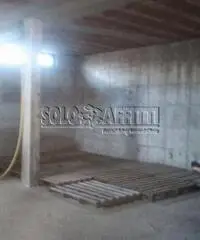 Stazione Di Vigna Di Valle: Affitto Magazzino da 50mq