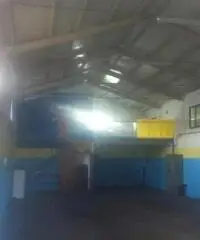 Testa Di Lepre Di Sopra: Vendita Capannone in Via dell'Arrone