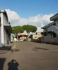 Vendita Capannone da 5800mq Vendita Capannone da 5800mq