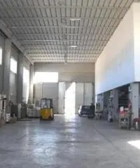 Vendita Capannone in Angelo Molinari