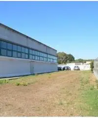 Vendita Capannone in Stradone Spadellata