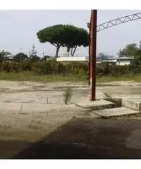 Vendita Capannone in Via dei Frati