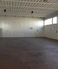 Peraga: Affitto Capannone da 800mq Peraga: Affitto Capannone da 800mq