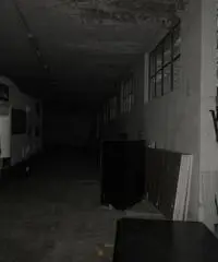 Commerciale in affitto a Collecchio, Lemignano