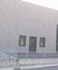 Industriale/Artigianale in vendita a Medesano