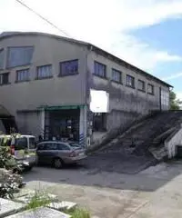 Industriale/Artigianale in vendita a Zibello