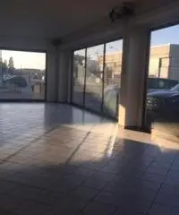 Rif: colornoFT3000 - Capannone in Affitto a Colorno