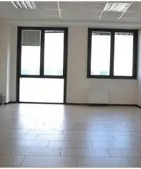 Rif: LS capannone Pilastro - Capannone in Affitto a Langhirano