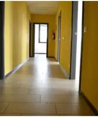 Rif: LS capannone Pilastro - Capannone in Affitto a Langhirano