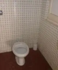 Rif: 1584 - Capannone in Affitto a San Martino Siccomario