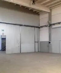 Rif: BC28415 - Capannone in Affitto a Piacenza