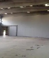 Rif: MP17514 - Capannone in Affitto a Rottofreno