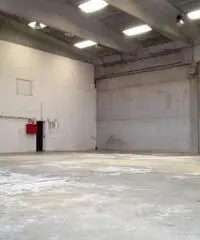 Rif: MP17514 - Capannone in Affitto a Rottofreno