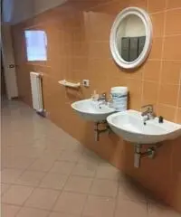 Vendita Capannone in Sp412