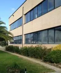 Capannone artigianale in affitto a OSPEDALETTO - Pisa 1000 mq  Rif: 422844 Capannone artigianale in affitto a OSPEDALETTO - Pisa 1000 mq  Rif: 422844