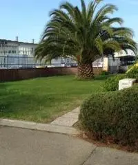 Capannone artigianale in affitto a OSPEDALETTO - Pisa 1000 mq  Rif: 422844 Capannone artigianale in affitto a OSPEDALETTO - Pisa 1000 mq  Rif: 422844