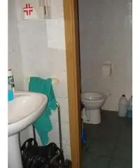 Capannone artigianale in vendita a OSPEDALETTO - Pisa 266 mq  Rif: 260266