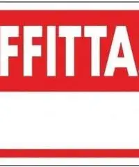 Capannone commerciale in affitto a OSPEDALETTO - Pisa 300 mq  Rif: 397574 Capannone commerciale in affitto a OSPEDALETTO - Pisa 300 mq  Rif: 397574