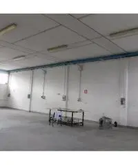 Capannone industriale in vendita a Cascina 300 mq  Rif: 462224