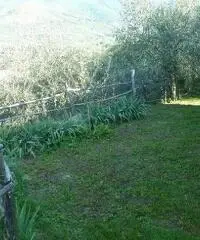Magazzino in vendita a Calci 36 mq  Rif: 321414