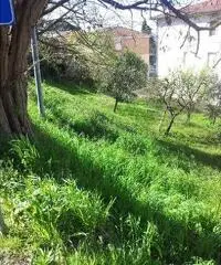 Magazzino in vendita a Peccioli 47 mq  Rif: 392707