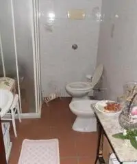 Rif: 818 - PRATICELLO DI GATTATICO, vendesi capannone di circa 700 mq. piu' vano ufficio e servizio